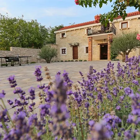 Tereza Villa *